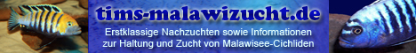 linkbanner_www_tims-malawizucht